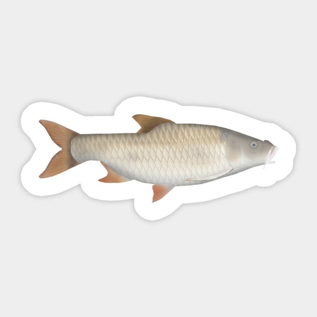 True big-scale tetra Sticker by FishFolkArt